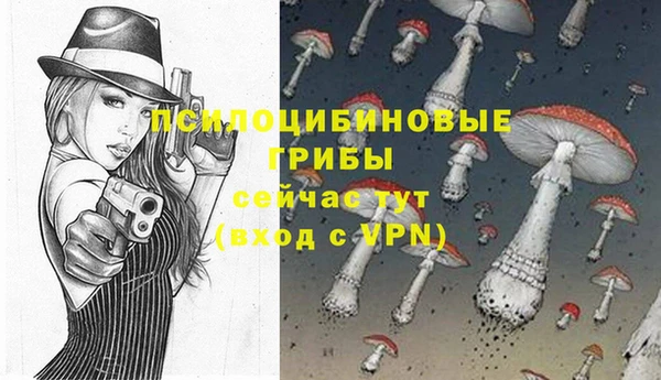 прущая мука Богородск