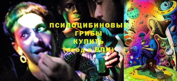 синтетический гашиш Богородицк