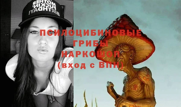 прущая мука Богородск