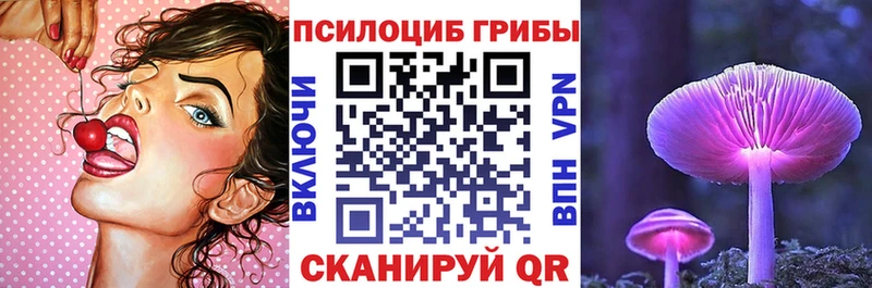 где найти   Армавир  Псилоцибиновые грибы мухоморы 